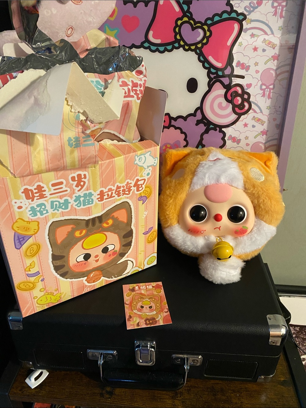 Opened Baby Three Cat Series 🖤